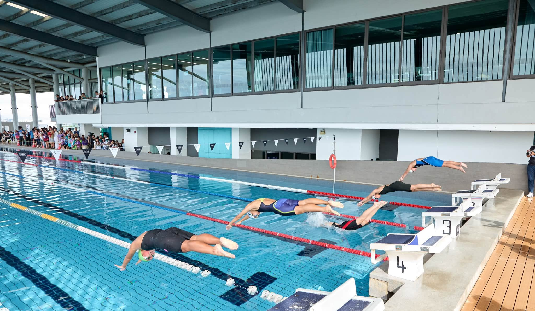Swimmers diving off the starting blocks in the STAGE 50m pool